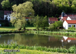 hibach1